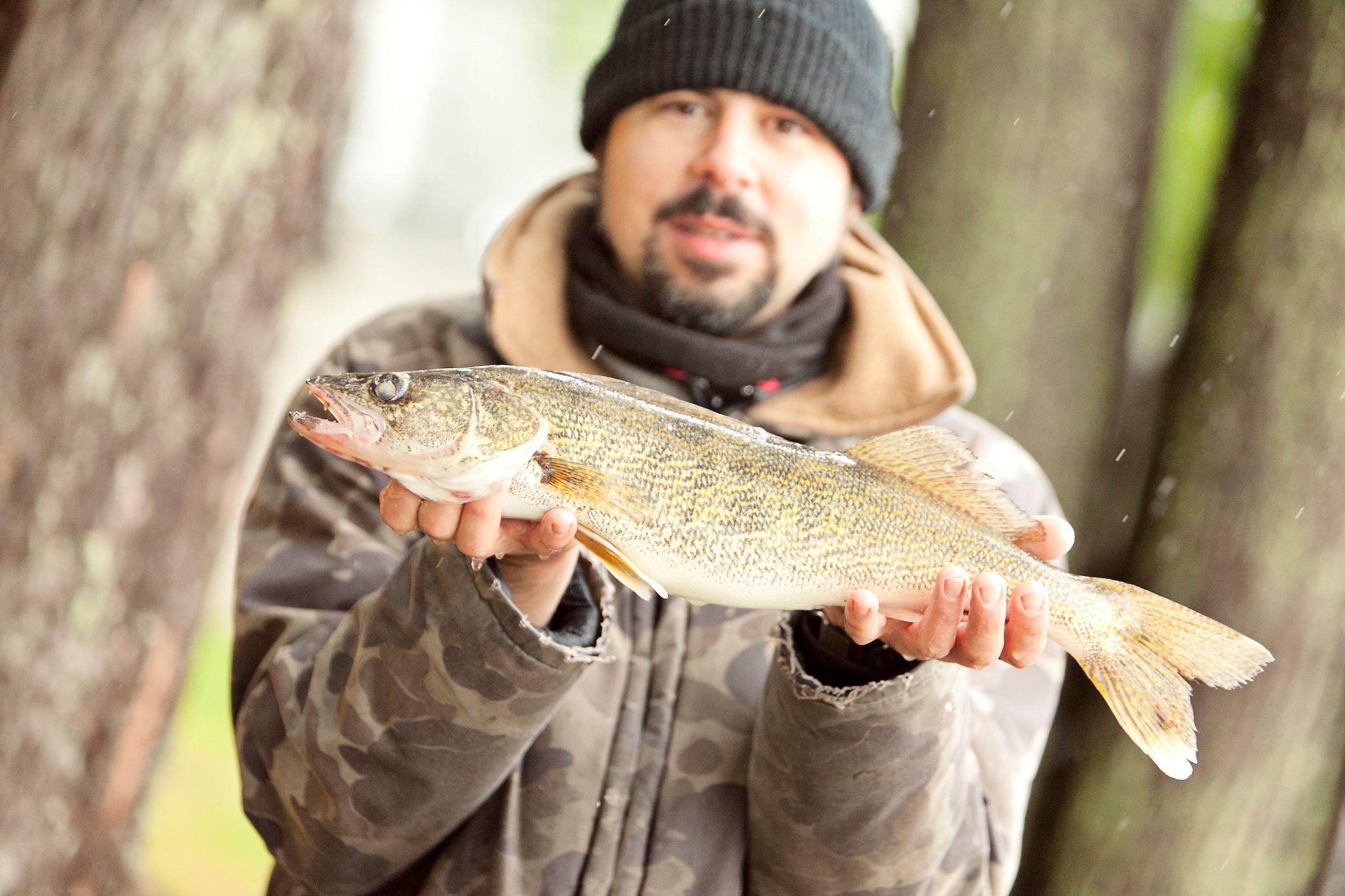 Pêche guidée au doré et au brochet Pourvoirie Roger Gladu Pêche guidée au doré et au brochet Pourvoirie Roger Gladu