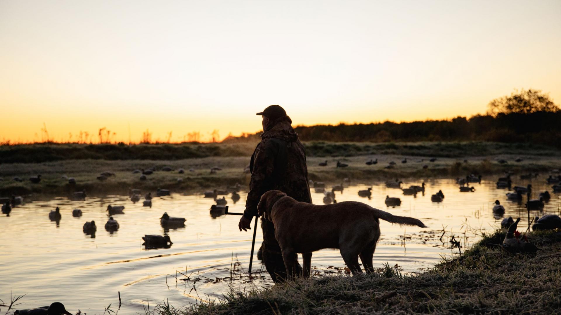 Nos tarifs pour la chasse au canard en marais