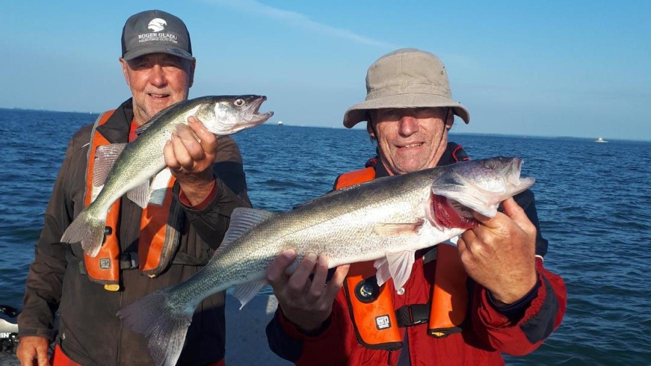 La pêche guidée au doré et au grand brochet sur le lac St-Pierre