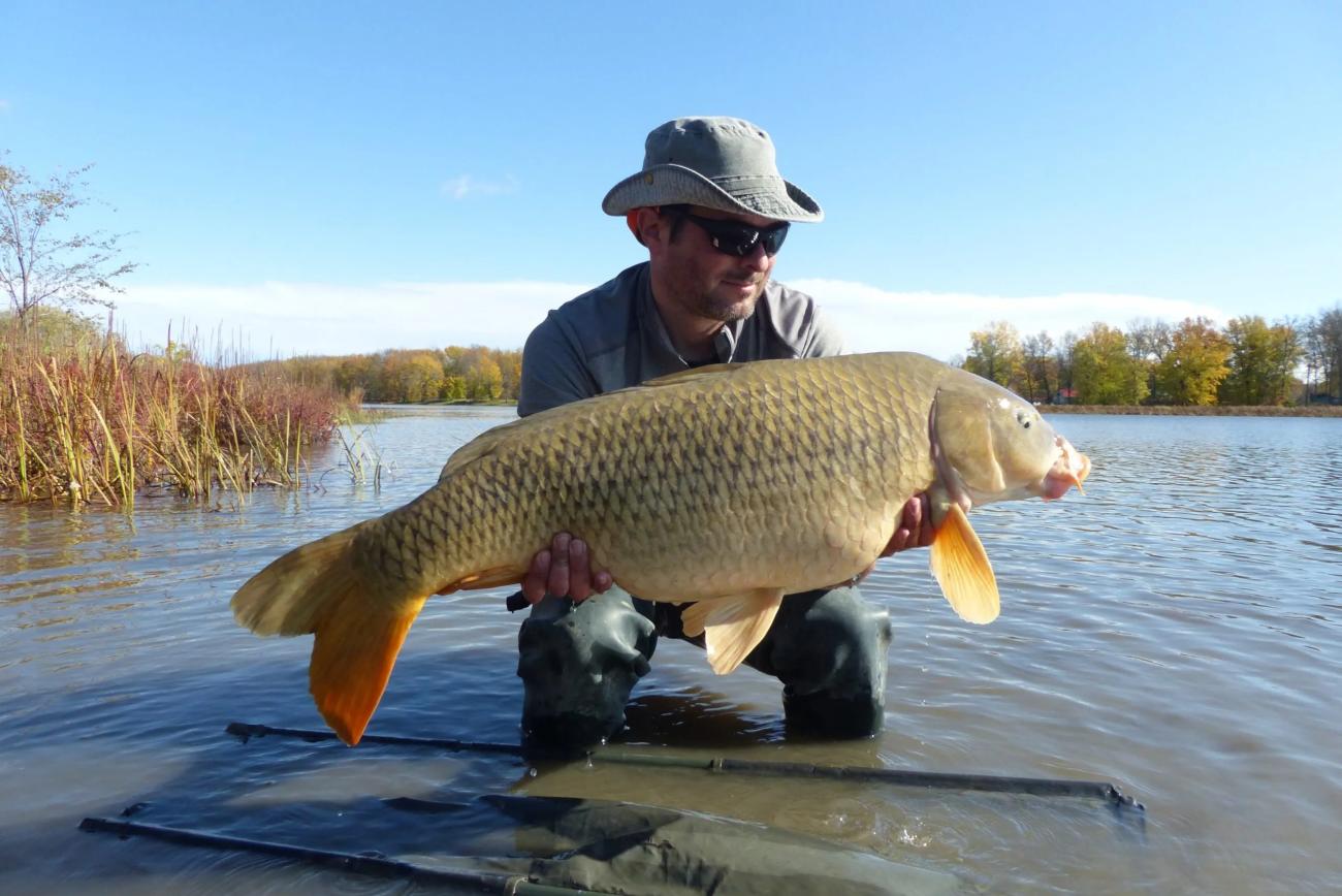 La pêche à la carpe sur le lac St-Pierre