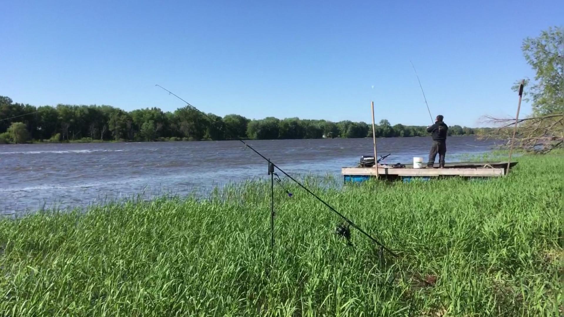 Nos tarifs pour la pêche à la carpe 